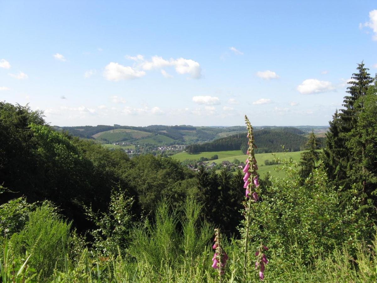 Urlaub Im Naturgarten Bergneustadt Exterior photo